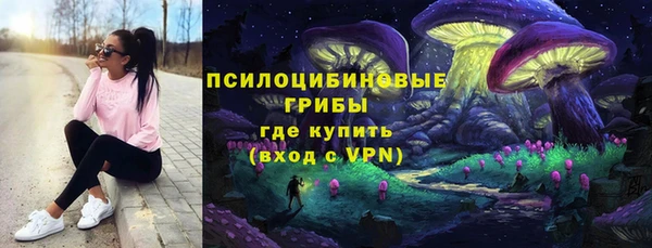 СК Алзамай