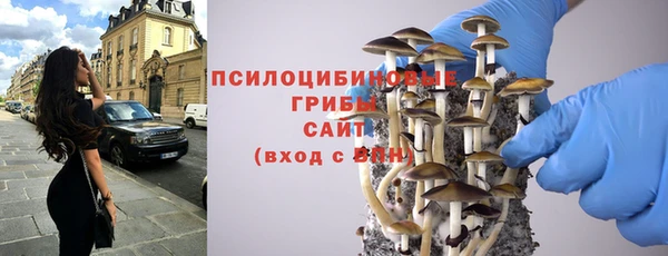 гидропоника Алексин