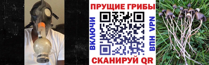 Галлюциногенные грибы Magic Shrooms  Полысаево 
